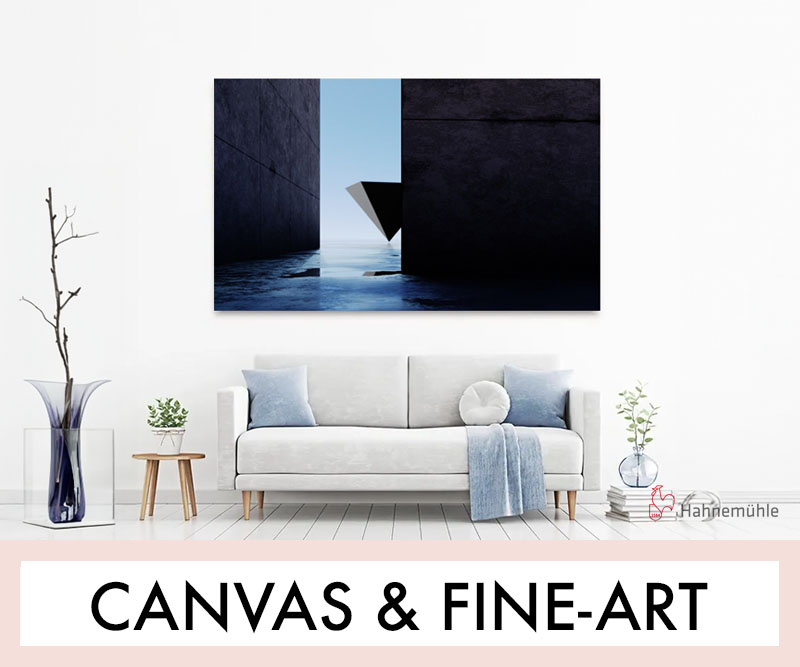 Canvas fine-art-800x667